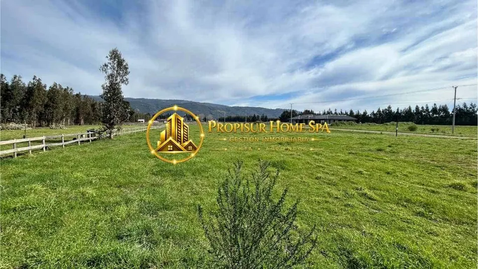 Vista interior de parcela en venta en Tijeral, Renaico, terreno de 5.000 m²